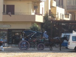 Египет. «Такси» в Луксоре.